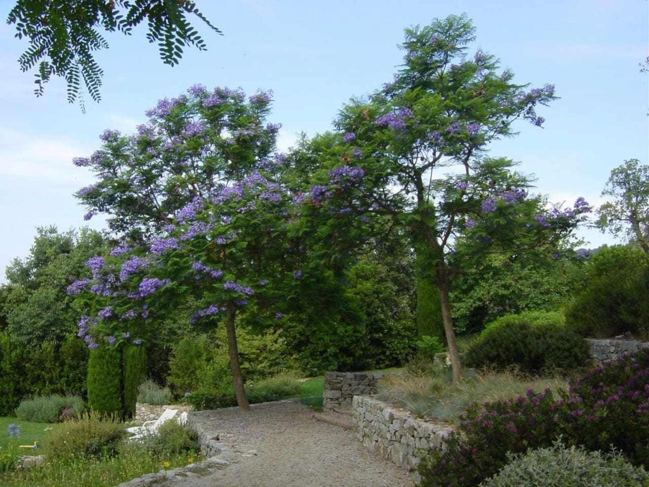 Ca Landreu Ecoturisme Βίλα Tiana Εξωτερικό φωτογραφία