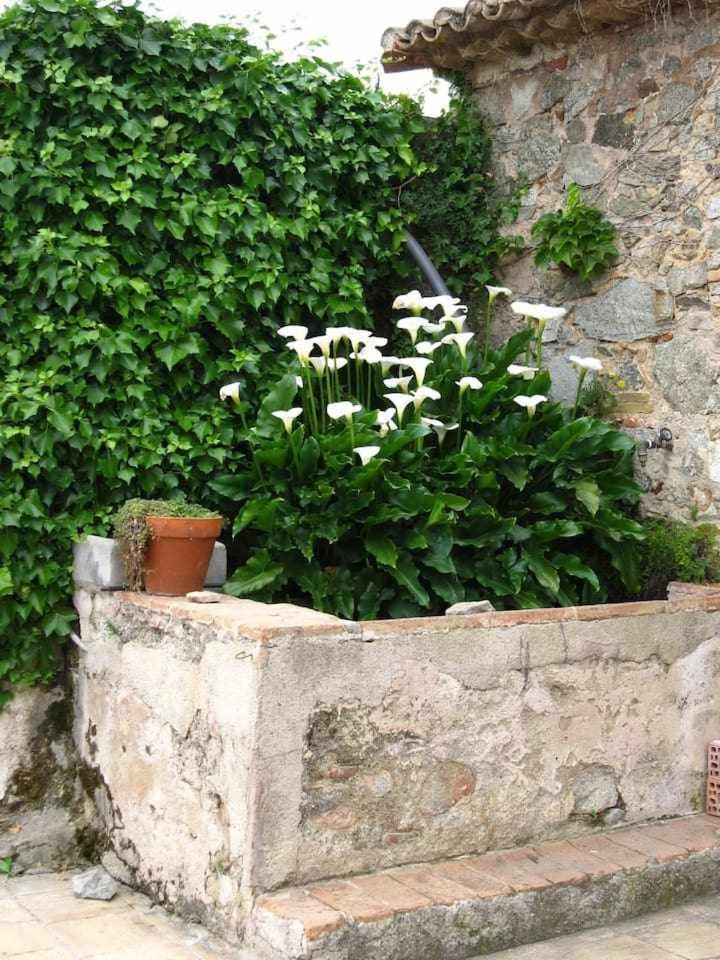 Ca Landreu Ecoturisme Βίλα Tiana Εξωτερικό φωτογραφία