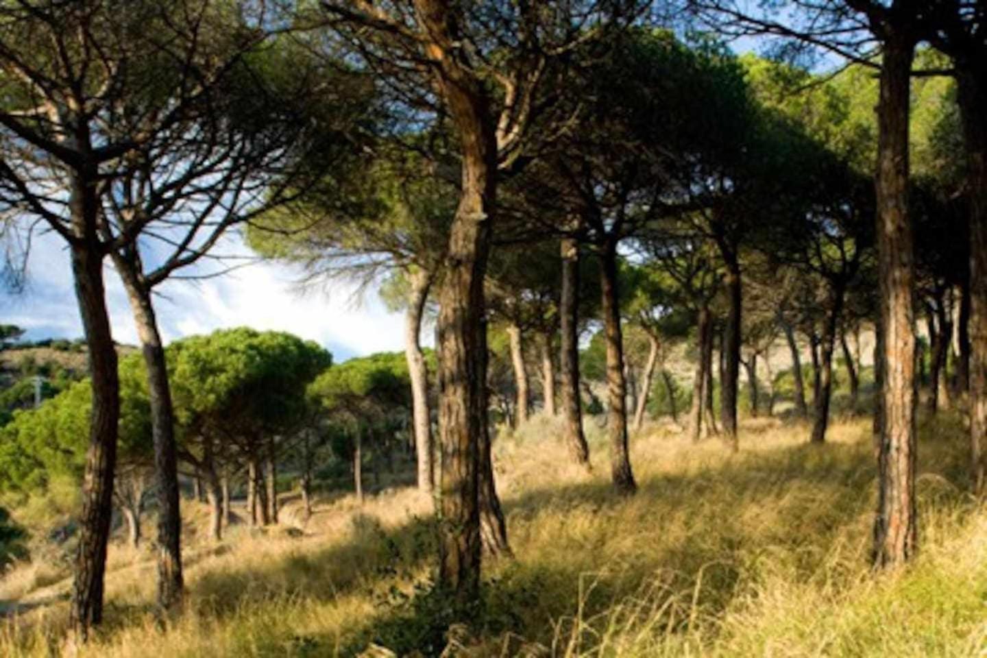 Ca Landreu Ecoturisme Βίλα Tiana Εξωτερικό φωτογραφία